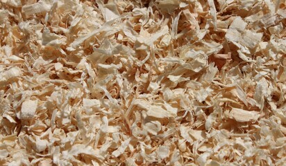 light brown sawdust as bedding