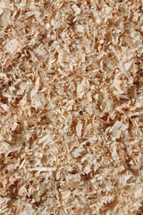 light brown sawdust as bedding