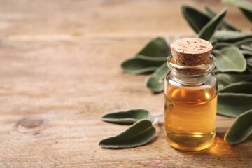 Bottle of essential oil and fresh sage leaves on wooden table, closeup. Space for text