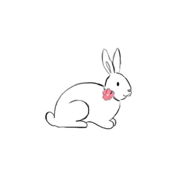 image of a rabbit on white background.