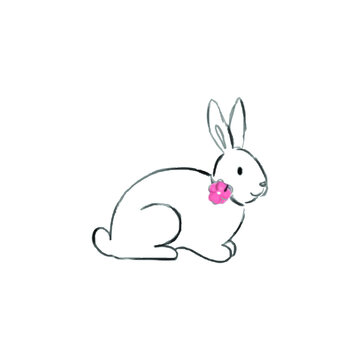 Vector image of a rabbit on white background.