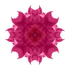 A beautiful fairy flower. A fantastic unusual flower. A unique abstract illustration. A beautiful image will decorate design projects and ideas.