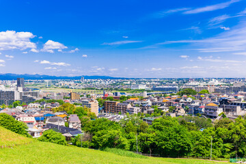 青空が広がる郊外の住宅地