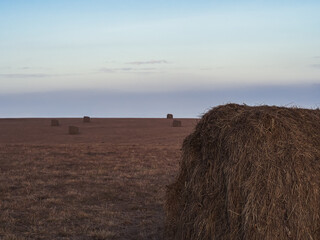 A fragment of a large rolled haystack against the background of an autumn field with dry grass and other stacks in the distance under a twilight sky