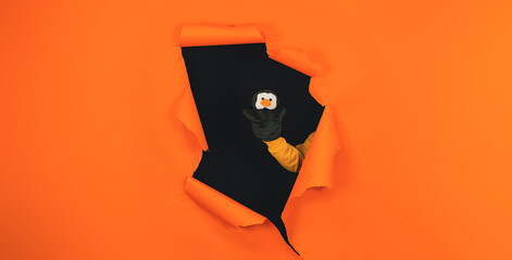 Soft puppet toy on hand sticking out of hole of orange background. Puppet penguin. Concept of puppet show.