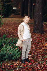 Stylish boy in a coat in autumn in the park, autumn forest
