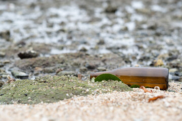 garbage on the beach, dirty sea
