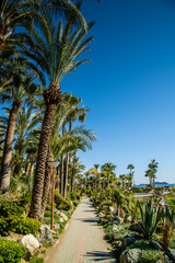 Limassol / Cyprus Beach Walk way Sun 