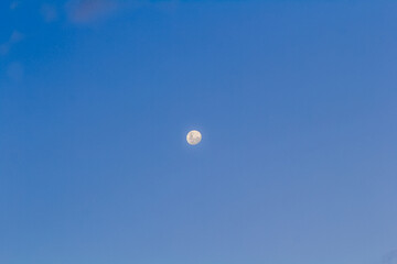L’une sur fond de ciel bleu 
