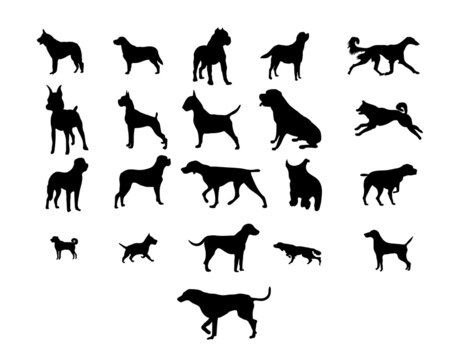 Dog silhouettes design,Animal silhouettes design