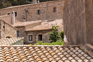 Obraz premium seagull on a roof of tossa de mar on the costa brava