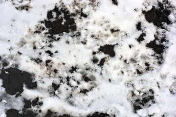 White fluffy snow covered and lies on the black earth, field, garden. 