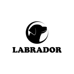 Labrador retriever dog head in circle