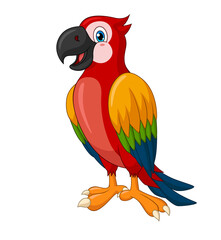 Adorable standing macaw cartoon