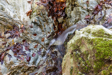 A small waterfall in the woods
