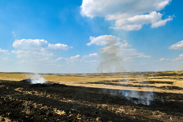 Burning stubble in the field.