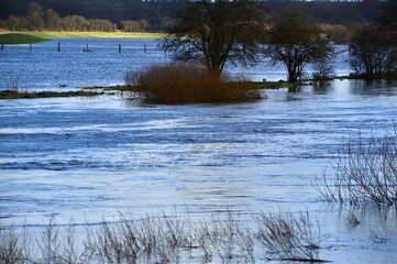 Hochwasser an der Fähre am Fluss Aller im Dorf Westen, Niedersachsen