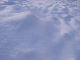 Snow in the forest.
Macro