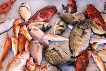 Fish market in Gallipoli, Italy