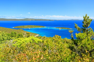Fototapeta na wymiar Beautiful clear blue sea on Dugi otok island, Adriatic coast, Croatia