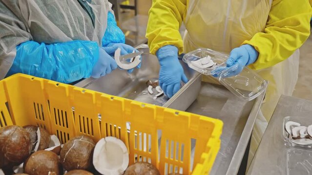 Sliced Coconut in Package Workers Preparing Healthy Snacks Fruit Bio Factory 