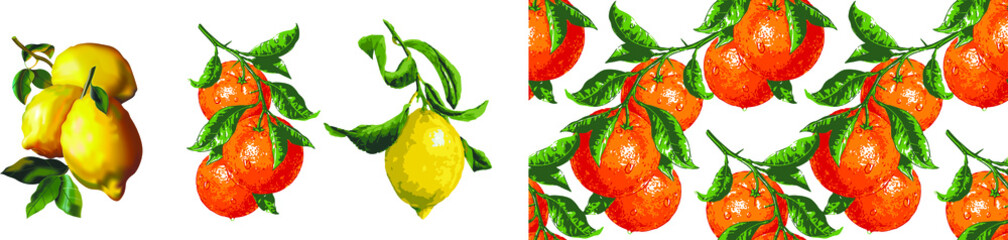 Graphical hand-drawn fruits, lemons, oranges. Vector.
