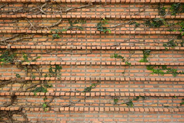 dirty block interior design, birck wall background