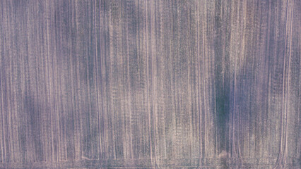 Purple pattern. Texture of polish field