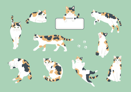 A set of cute cats in the style of handwritten illustrations. Flat color simple style design.