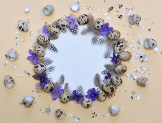 Frame of quail eggs, feathers and decorative violets with free space for writing on a sandy colour textured background with beaten eggshells . Easter concept .top view
