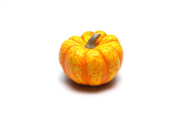 pumpkin isolated on white background. close up pumpkin. 