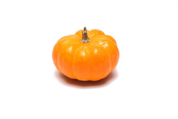 pumpkin isolated on white background. close up pumpkin. 