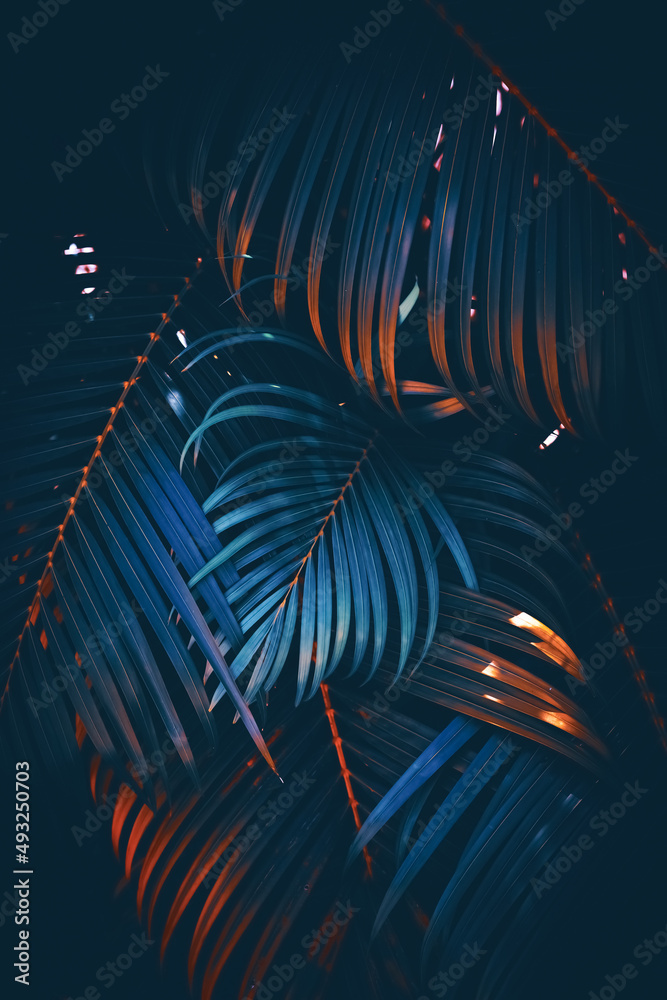 Wall mural green palm leaf pattern texture abstract background. copy space for graphic design tropical summer a