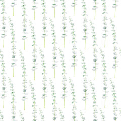 Watercolor seamless pattern with eucalyptus branches on white background