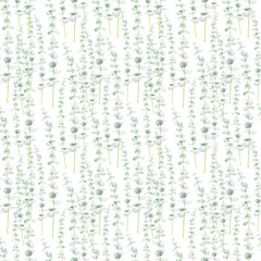 Watercolor seamless pattern with eucalyptus branches on white background