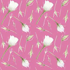 Watercolor seamless pattern with eustoma buds on pink background