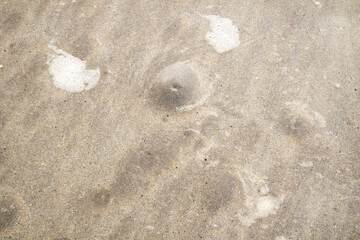 Bubbles in the sand showing that the tide is coming in