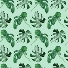 Watercolor seamless pattern with monstera leaves on green background