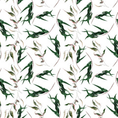 Watercolor seamless pattern with eucalyptus branches on white background