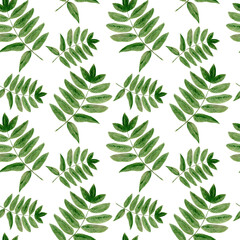 Watercolor seamless pattern with leaves on white background