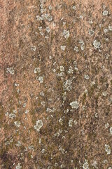 close up of a sandstone surface