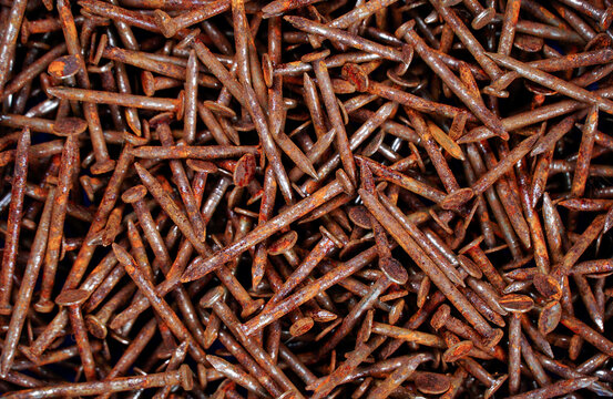 Rusty Nails | Stock Image - Science Source Images