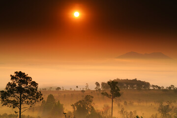 Nature landscape. Thung Salaeng Luang, Phetchabun province in Thailand.