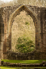 Abbey Window © Mike