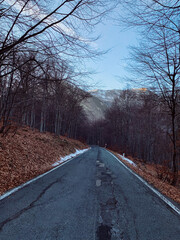 Mountain road among the trees in winter forest.