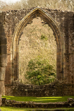 Abbey Window