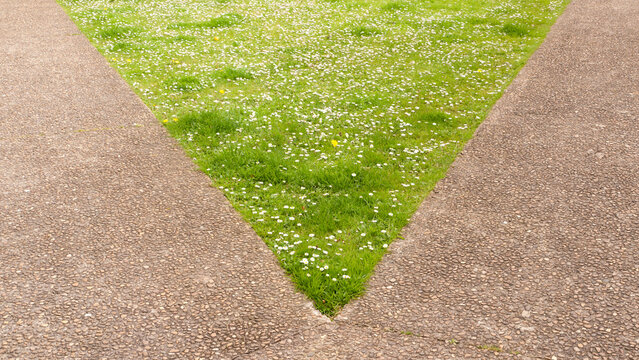 Sector triangular de hierba verde en suelo asfaltado de parque