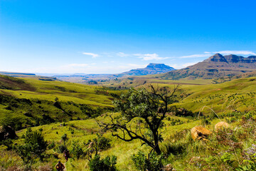Obraz premium Distant mountains