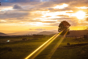 sunset over the road