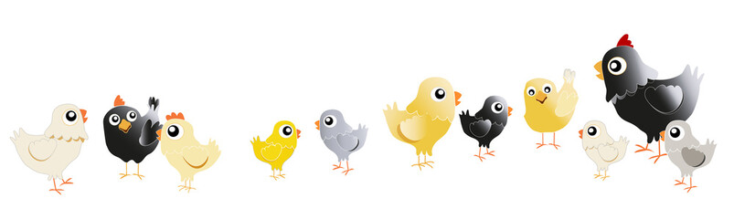 Bande de petits poussins